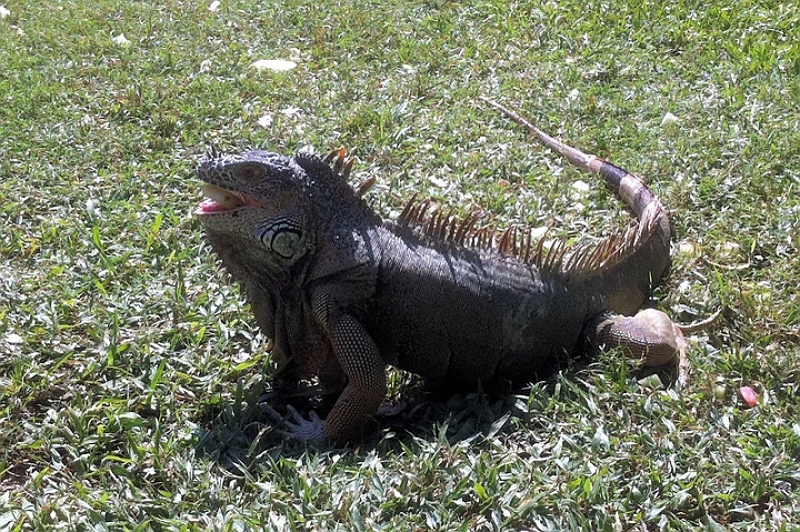 Mexico 015.jpg